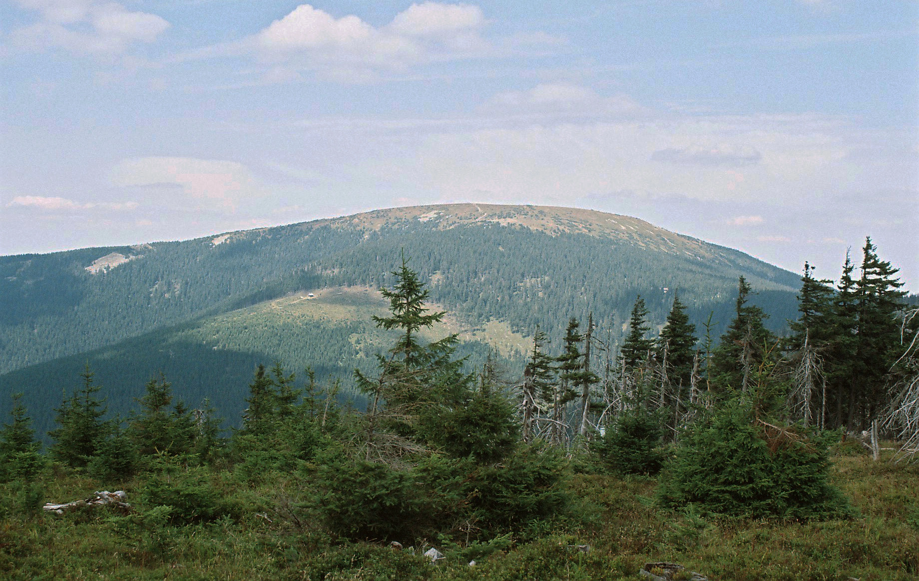 Rezerwat Śnieżnik Kłodzki